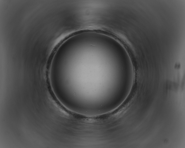X0000091661412200708231254