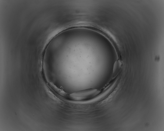 X0000091661413200708231254