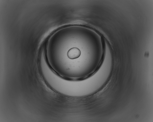 X0000091661414200708231254