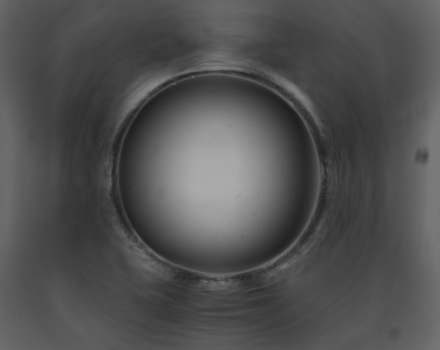 X0000091661415200708231254