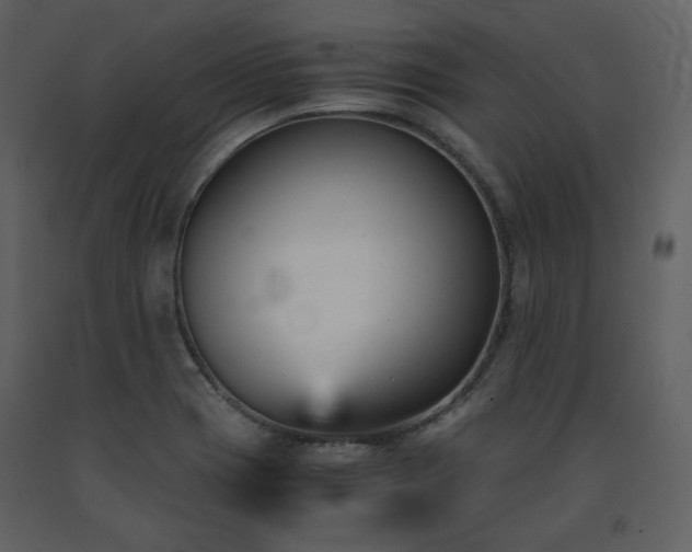 X0000091661417200708231254