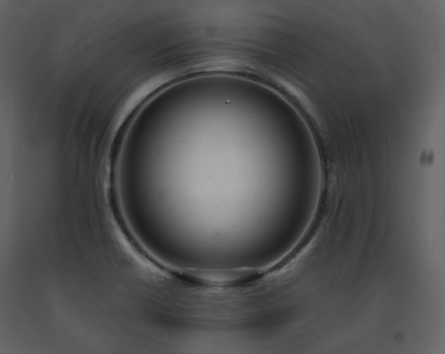 X0000091661418200708231254