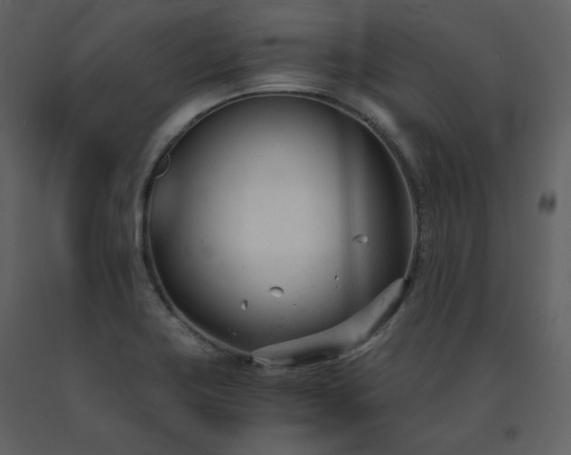 X0000091661419200708231254