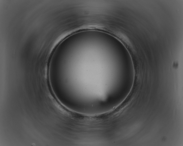 X0000091661420200708231254