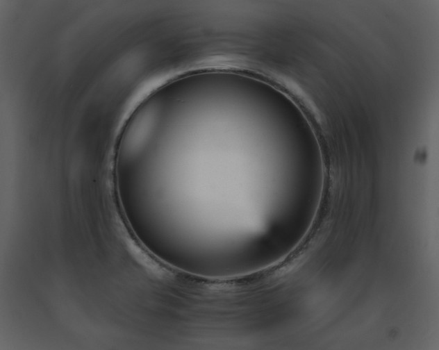 X0000091661421200708231255