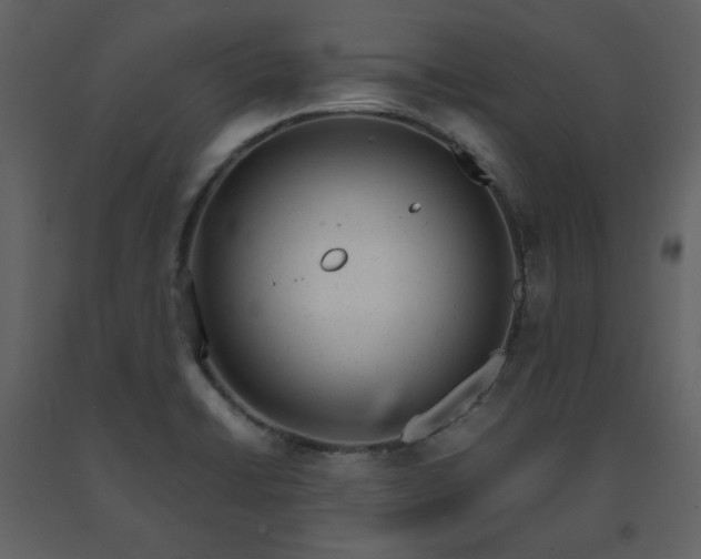 X0000091661422200708231255