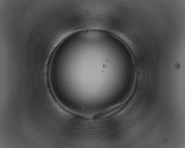 X0000091661423200708231255