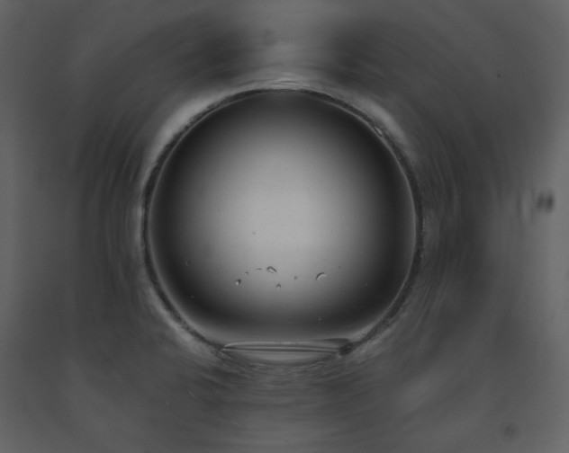 X0000091661424200708231255