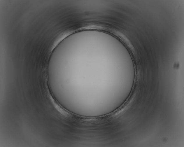 X0000091661425200708231255