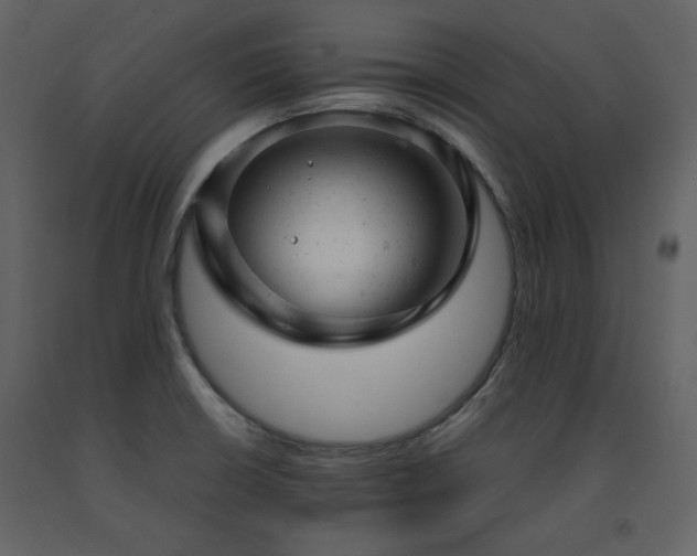 X0000091661426200708231255