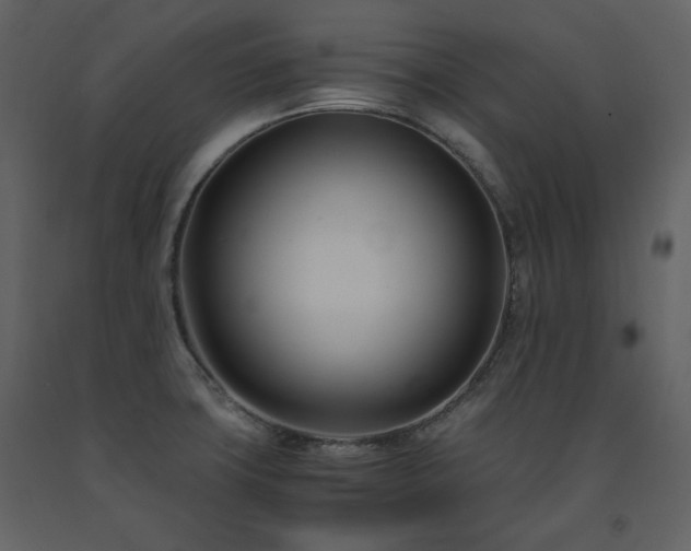 X0000091661427200708231255