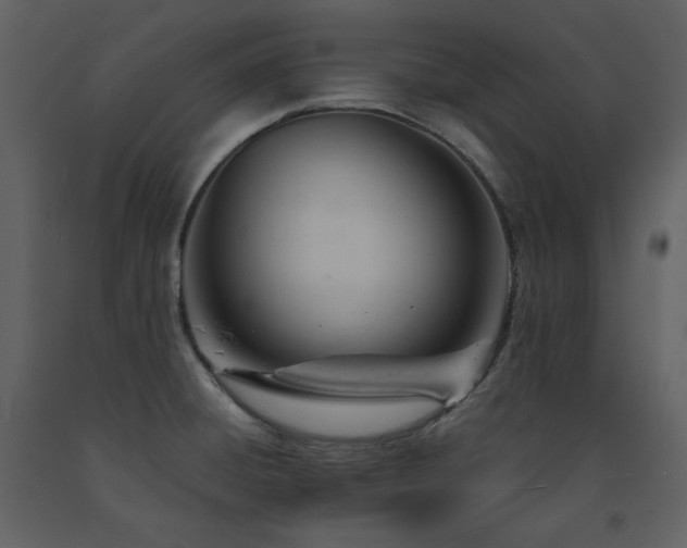 X0000091661428200708231255