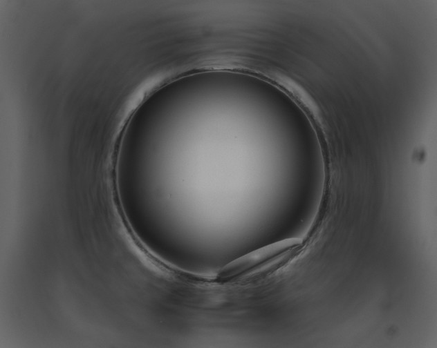 X0000091661429200708231255