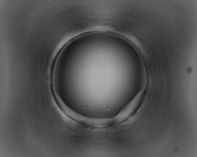 X0000091661430200708231255
