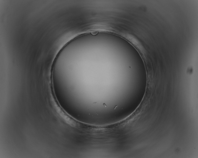 X0000091661431200708231255