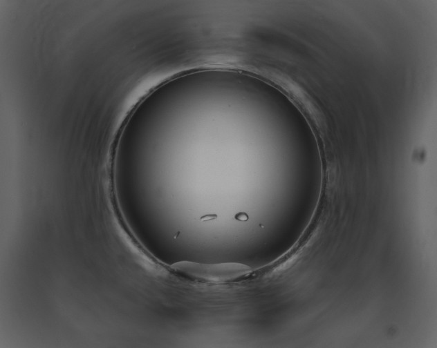 X0000091661432200708231255