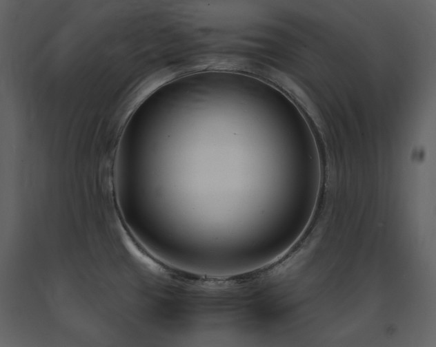 X0000091661433200708231255