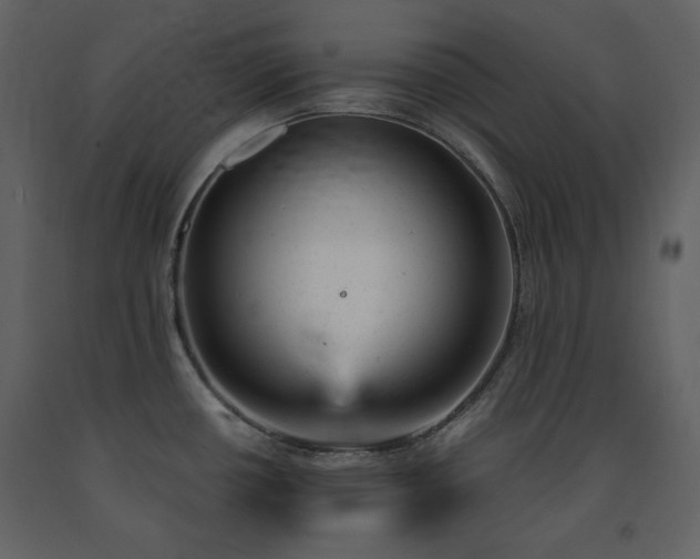 X0000091661434200708231255