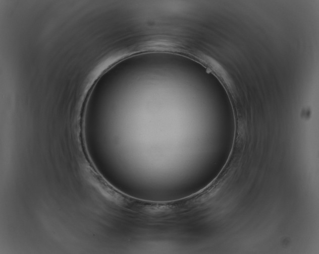 X0000091661435200708231255