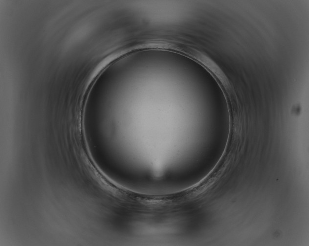 X0000091661436200708231255