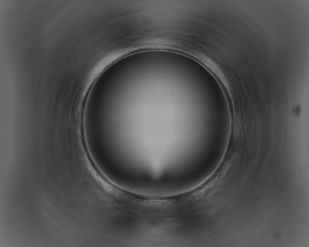 X0000091661437200708231255