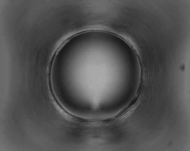 X0000091661438200708231255