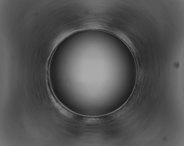 X0000091661439200708231255