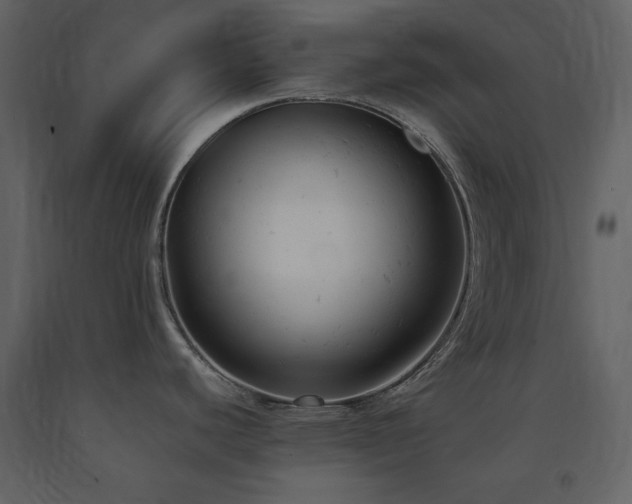 X0000091661440200708231255