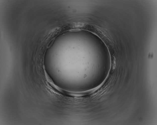 X0000091661441200708231254