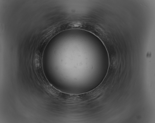 X0000091661442200708231254