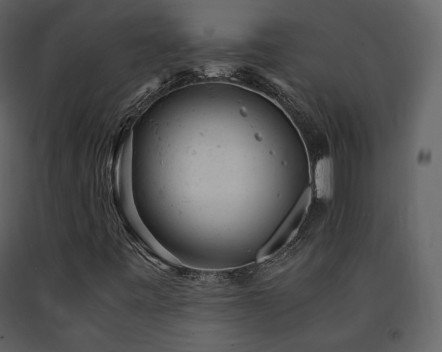 X0000091661443200708231254