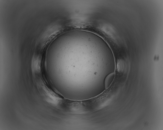 X0000091661444200708231254