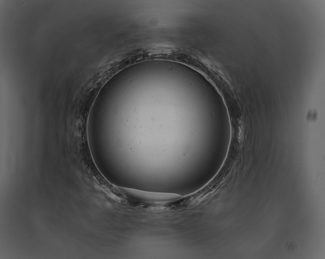 X0000091661445200708231254