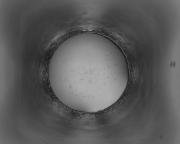 X0000091661446200708231254
