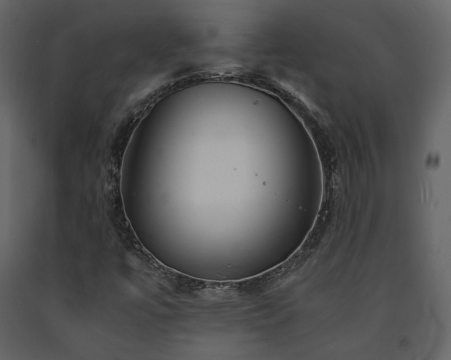 X0000091661447200708231254