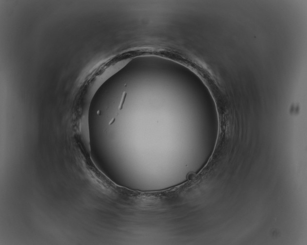 X0000091661448200708231254