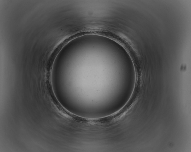 X0000091661449200708231254