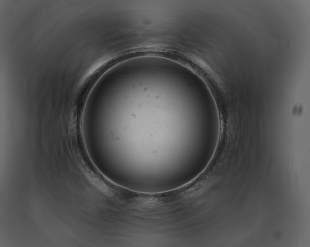 X0000091661450200708231254