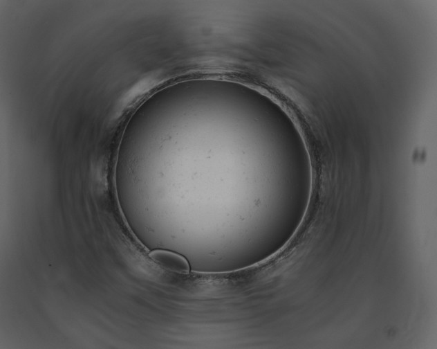 X0000091661451200708231254