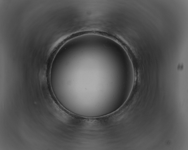 X0000091661452200708231254
