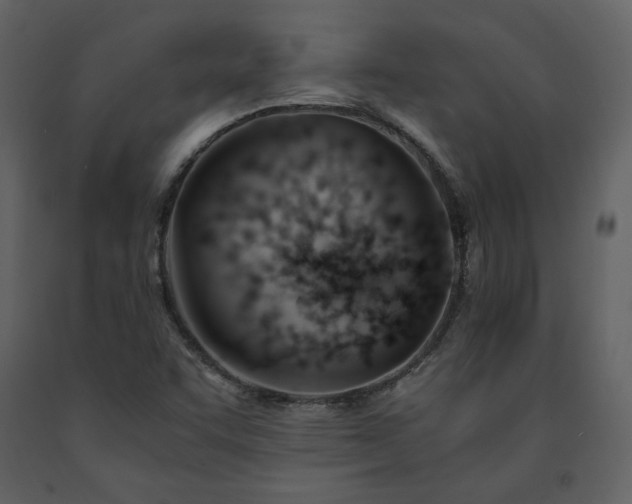 X0000091661455200708231254