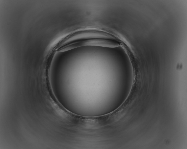 X0000091661456200708231254