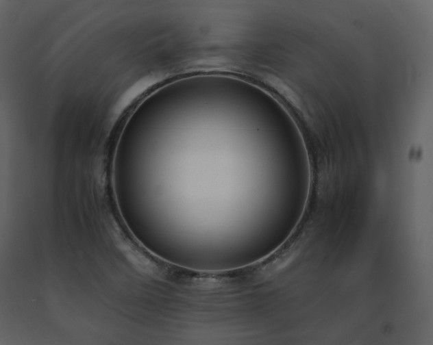 X0000091661458200708231254