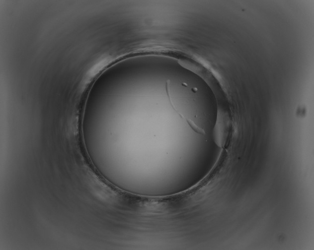 X0000091661459200708231254