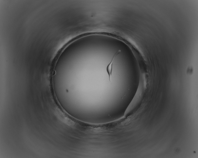 X0000091661460200708231254