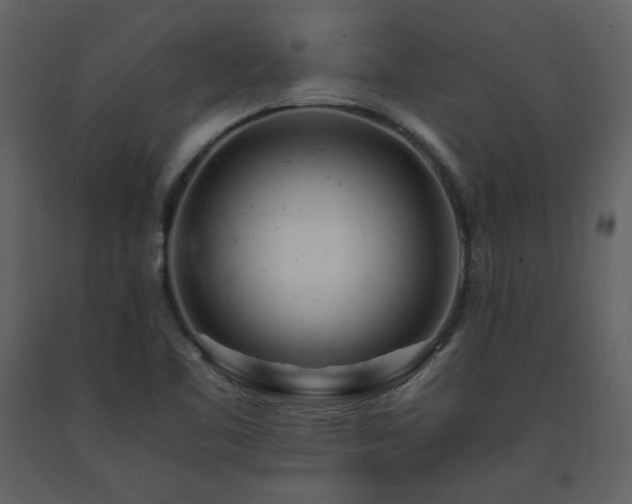 X0000091661461200708231254