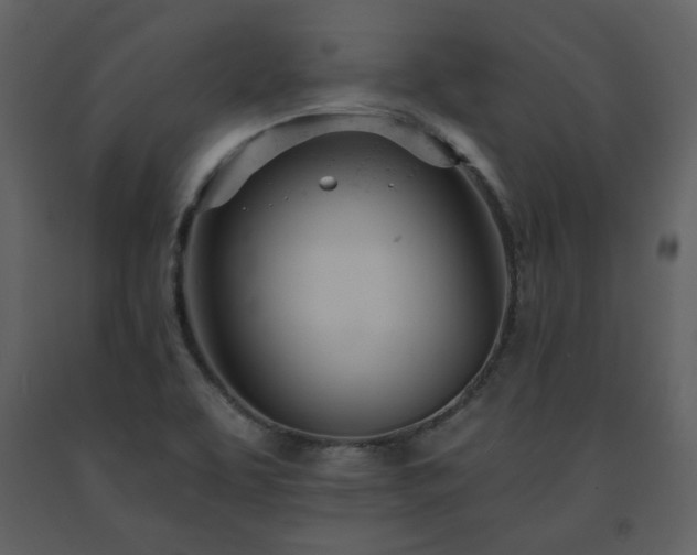 X0000091661463200708231254