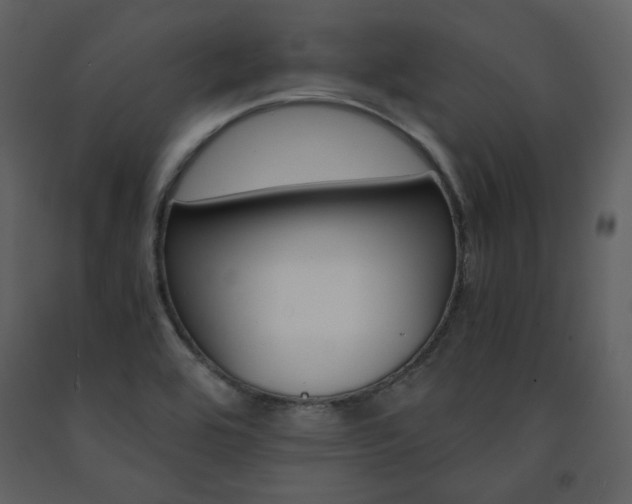 X0000091661464200708231254