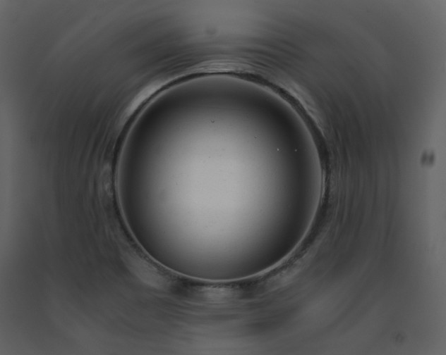 X0000091661465200708231254