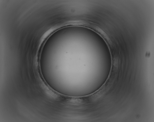 X0000091661466200708231254